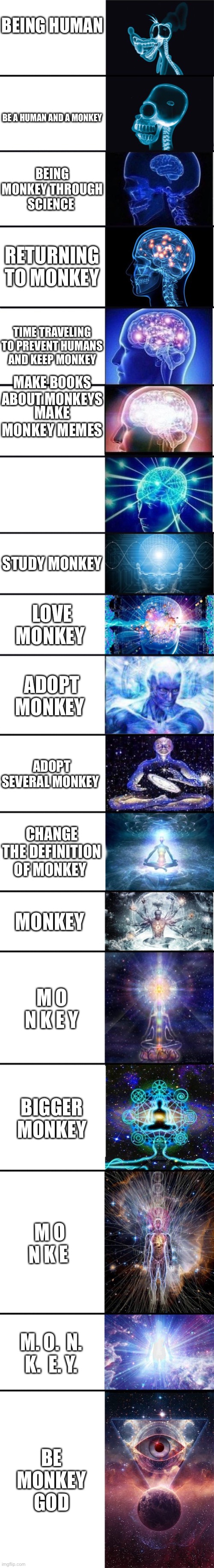 expanding brain: 9001 |  BEING HUMAN; BE A HUMAN AND A MONKEY; BEING MONKEY THROUGH SCIENCE; RETURNING TO MONKEY; TIME TRAVELING TO PREVENT HUMANS AND KEEP MONKEY; MAKE BOOKS ABOUT MONKEYS; MAKE MONKEY MEMES; STUDY MONKEY; LOVE MONKEY; ADOPT MONKEY; ADOPT SEVERAL MONKEY; CHANGE THE DEFINITION OF MONKEY; MONKEY; M O N K E Y; BIGGER MONKEY; M O N K E; M. O.  N.  K.  E. Y. BE MONKEY GOD | image tagged in expanding brain 9001 | made w/ Imgflip meme maker