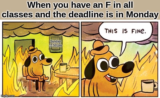 This is fine isnt it? | When you have an F in all classes and the deadline is in Monday; Sunday 11:50 pm | image tagged in memes,this is fine | made w/ Imgflip meme maker