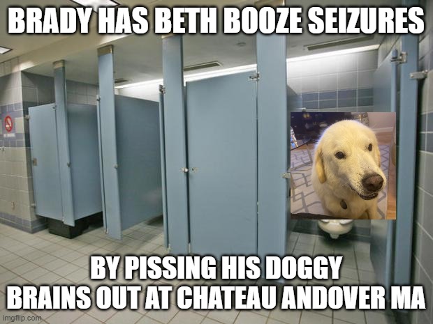 Brady pissing at the Chateau Restaurant Andover MA | BRADY HAS BETH BOOZE SEIZURES; BY PISSING HIS DOGGY BRAINS OUT AT CHATEAU ANDOVER MA | image tagged in bathroom stall,dogs,memes,peeing | made w/ Imgflip meme maker