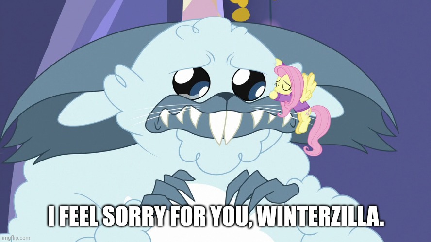 I FEEL SORRY FOR YOU, WINTERZILLA. | made w/ Imgflip meme maker