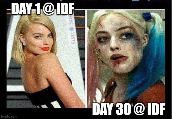 Day 1 vs Day 30 | DAY 1 @ IDF; DAY 30 @ IDF | image tagged in harley quinn 24 hours later | made w/ Imgflip meme maker