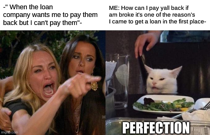 True story :/ | -'' When the loan company wants me to pay them back but I can't pay them''-; ME: How can I pay yall back if am broke it's one of the reason's I came to get a loan in the first place-; PERFECTION | image tagged in memes,woman yelling at cat | made w/ Imgflip meme maker