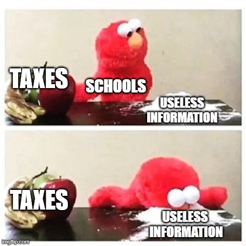 elmo cocaine | TAXES; SCHOOLS; USELESS INFORMATION; TAXES; USELESS 
INFORMATION | image tagged in elmo cocaine,school | made w/ Imgflip meme maker