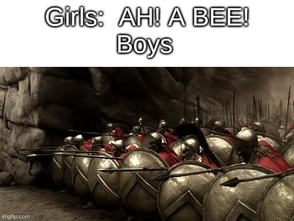 THIS IS SPARTA!!! | Boys; Girls:  AH! A BEE! | image tagged in sparta,history,girls vs boys,funny | made w/ Imgflip meme maker