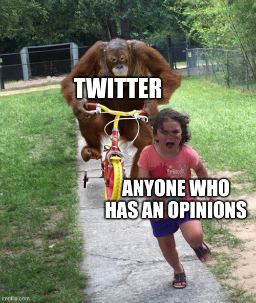 Orangutan chasing girl on a tricycle |  TWITTER; ANYONE WHO HAS AN OPINIONS | image tagged in orangutan chasing girl on a tricycle | made w/ Imgflip meme maker