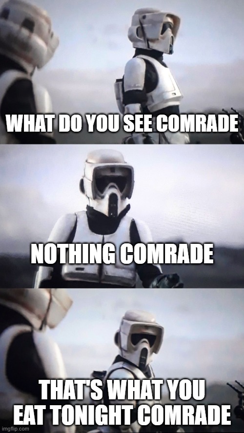 Russia RN | WHAT DO YOU SEE COMRADE; NOTHING COMRADE; THAT'S WHAT YOU EAT TONIGHT COMRADE | image tagged in storm trooper conversation | made w/ Imgflip meme maker