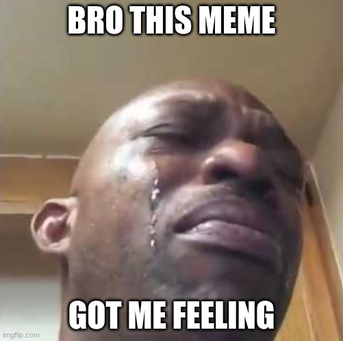 Crying guy meme | BRO THIS MEME GOT ME FEELING | image tagged in crying guy meme | made w/ Imgflip meme maker