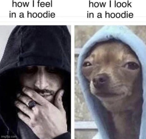 A hoodie | image tagged in funny memes | made w/ Imgflip meme maker