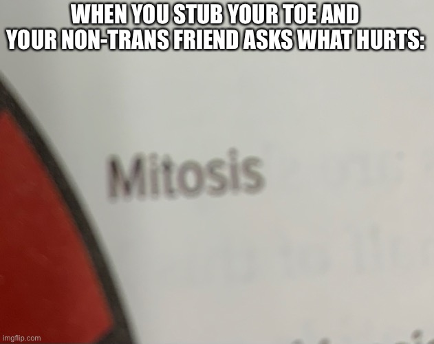 I came up with this in biology class. It’s dumb I know | WHEN YOU STUB YOUR TOE AND YOUR NON-TRANS FRIEND ASKS WHAT HURTS: | made w/ Imgflip meme maker
