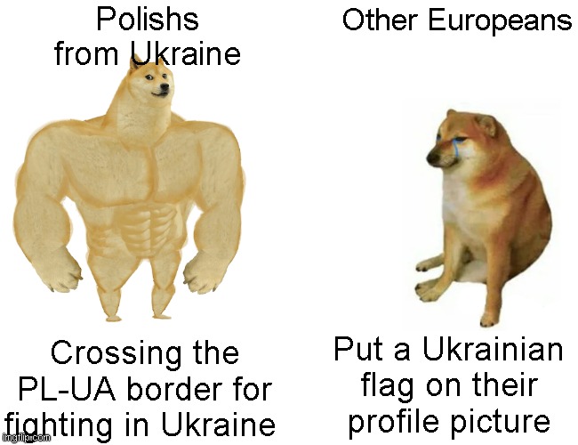 Buff Doge vs. Cheems Meme | Polishs
from Ukraine; Other Europeans; Crossing the PL-UA border for fighting in Ukraine; Put a Ukrainian flag on their profile picture | image tagged in memes,buff doge vs cheems | made w/ Imgflip meme maker