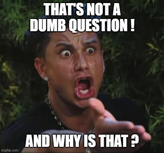 DJ Pauly D Meme | THAT'S NOT A DUMB QUESTION ! AND WHY IS THAT ? | image tagged in memes,dj pauly d | made w/ Imgflip meme maker