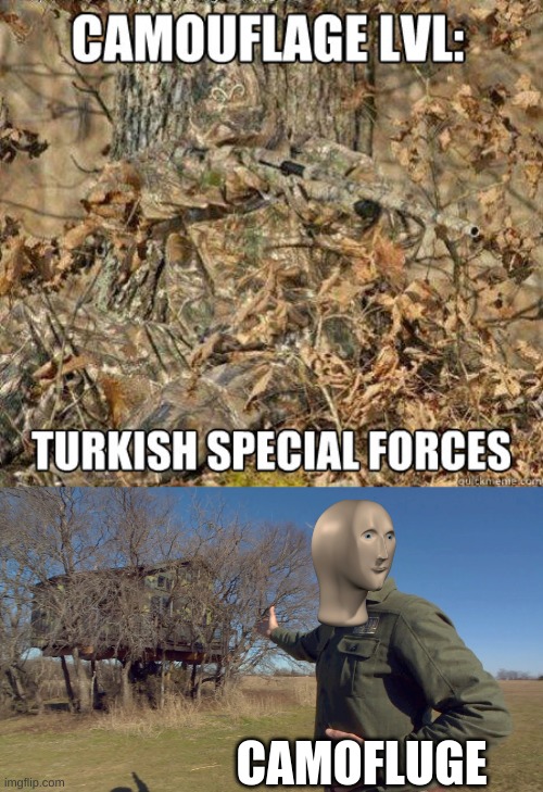 You might need to look fora a bit |  CAMOFLUGE | image tagged in camouflage | made w/ Imgflip meme maker