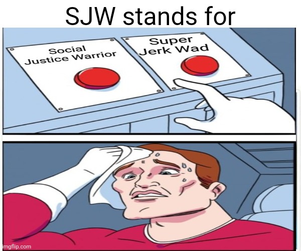 SJW stands for |  SJW stands for | image tagged in sjw,sjw triggered,social justice warrior | made w/ Imgflip meme maker