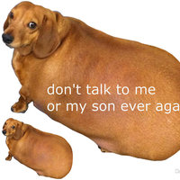 Dont talk to me or my son ever again Blank Meme Template
