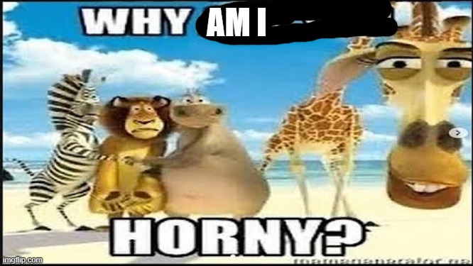 E | AM I | image tagged in why are you horny | made w/ Imgflip meme maker