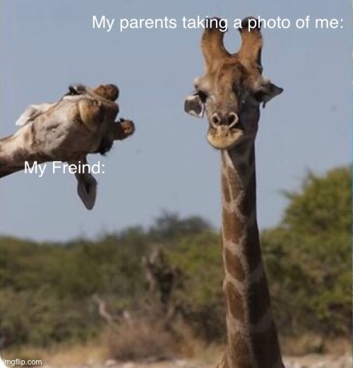 Relatable? | image tagged in giraffe | made w/ Imgflip meme maker