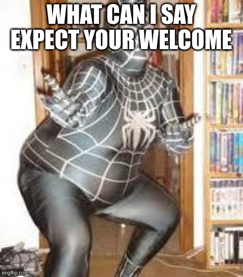 FAT SPIDER MAN  | WHAT CAN I SAY EXPECT YOUR WELCOME | image tagged in fat spider man | made w/ Imgflip meme maker