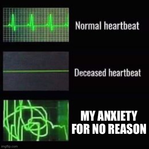 i be afraid of stuff that’s never going to happen | MY ANXIETY FOR NO REASON | image tagged in heartbeat rate,help,anxiety,i am in misery,o no,stop reading the tags | made w/ Imgflip meme maker