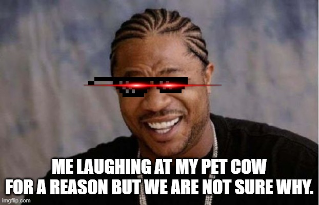 Yo Dawg Heard You Meme | ME LAUGHING AT MY PET COW FOR A REASON BUT WE ARE NOT SURE WHY. | image tagged in memes,yo dawg heard you | made w/ Imgflip meme maker