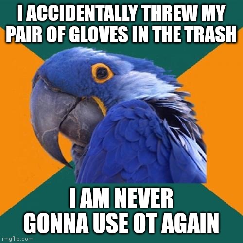 lol | I ACCIDENTALLY THREW MY PAIR OF GLOVES IN THE TRASH; I AM NEVER GONNA USE OT AGAIN | image tagged in memes,paranoid parrot | made w/ Imgflip meme maker