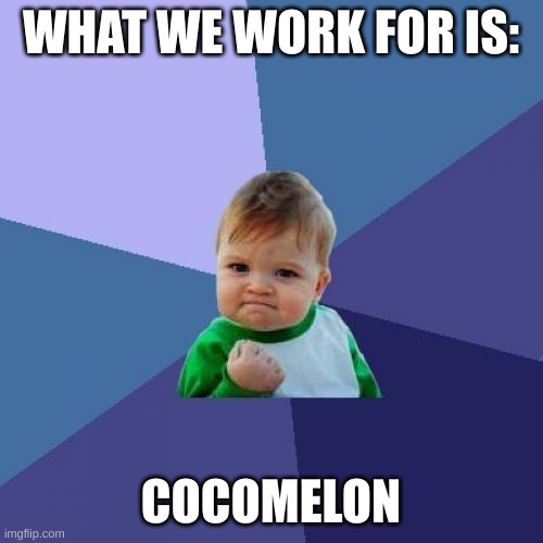 Success Kid Meme | WHAT WE WORK FOR IS: COCOMELON | image tagged in memes,success kid | made w/ Imgflip meme maker