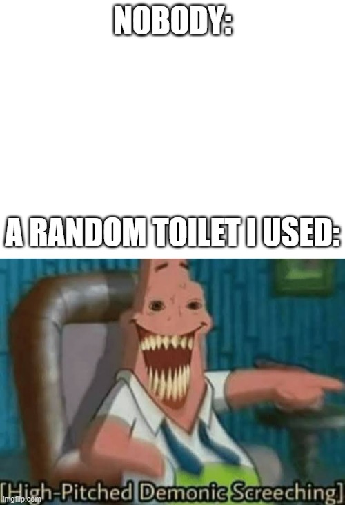 True Story | NOBODY:; A RANDOM TOILET I USED: | image tagged in blank white template,high-pitched demonic screeching | made w/ Imgflip meme maker