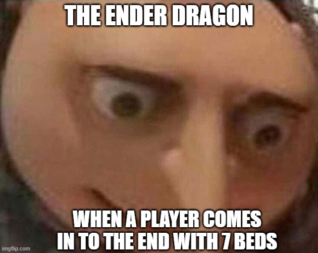 gru meme | THE ENDER DRAGON; WHEN A PLAYER COMES IN TO THE END WITH 7 BEDS | image tagged in gru meme | made w/ Imgflip meme maker