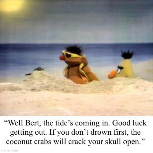 image tagged in bert and ernie | made w/ Imgflip meme maker