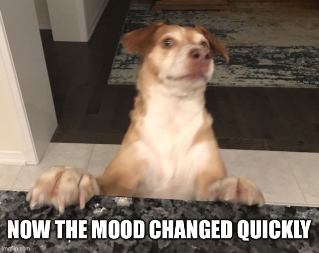 Plot twist | NOW THE MOOD CHANGED QUICKLY | image tagged in plot twist | made w/ Imgflip meme maker