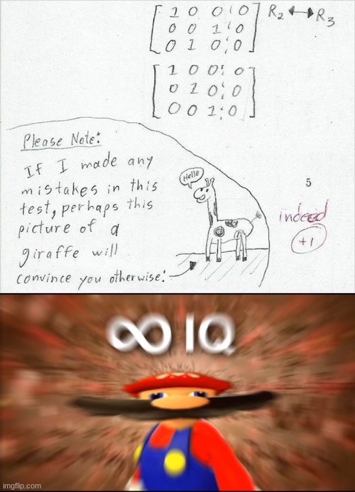 this kid is on another level | image tagged in infinity iq mario,smart,funny test answers | made w/ Imgflip meme maker