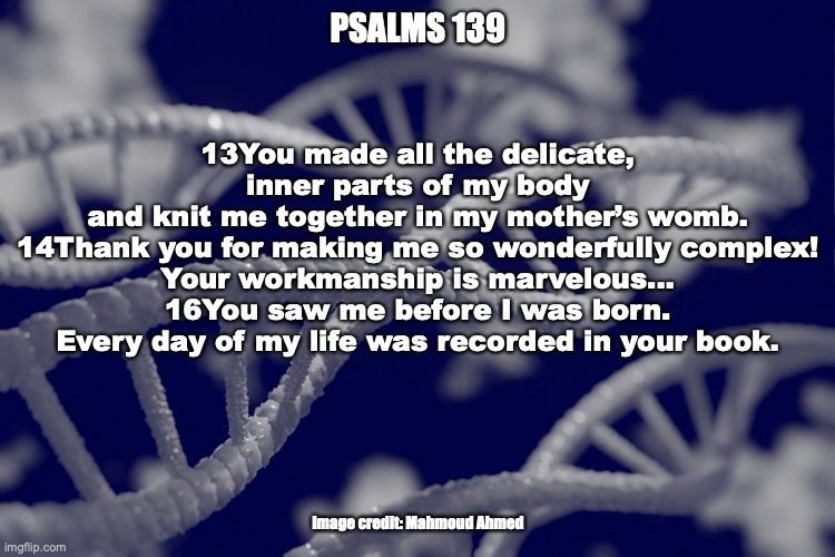 God's Masterpiece | PSALMS 139; 13You made all the delicate, inner parts of my body
and knit me together in my mother’s womb.
14Thank you for making me so wonderfully complex!
Your workmanship is marvelous...
16You saw me before I was born.
Every day of my life was recorded in your book. Image credit: Mahmoud Ahmed | image tagged in embryo | made w/ Imgflip meme maker