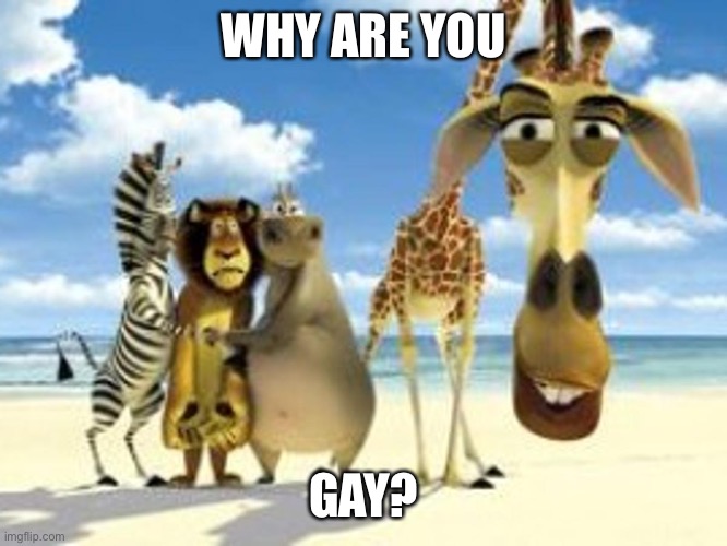 Why are you gay | WHY ARE YOU; GAY? | image tagged in gay | made w/ Imgflip meme maker
