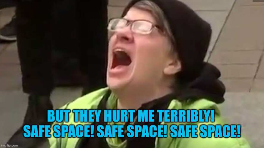 Screaming Liberal  | BUT THEY HURT ME TERRIBLY!  SAFE SPACE! SAFE SPACE! SAFE SPACE! | image tagged in screaming liberal | made w/ Imgflip meme maker