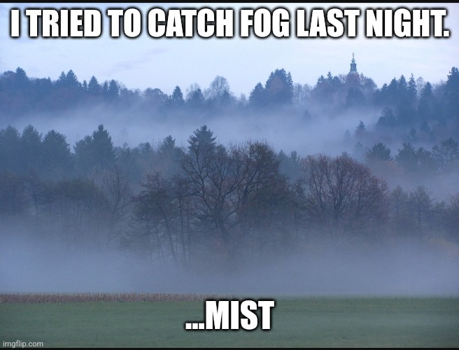 Mist | I TRIED TO CATCH FOG LAST NIGHT. ...MIST | image tagged in weather | made w/ Imgflip meme maker