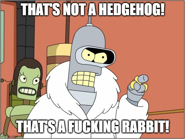 Bender Meme | THAT'S NOT A HEDGEHOG! THAT'S A FUCKING RABBIT! | image tagged in memes,bender | made w/ Imgflip meme maker