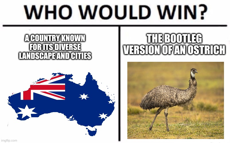 Who Would Win? | A COUNTRY KNOWN FOR ITS DIVERSE LANDSCAPE AND CITIES; THE BOOTLEG VERSION OF AN OSTRICH | image tagged in memes,who would win | made w/ Imgflip meme maker