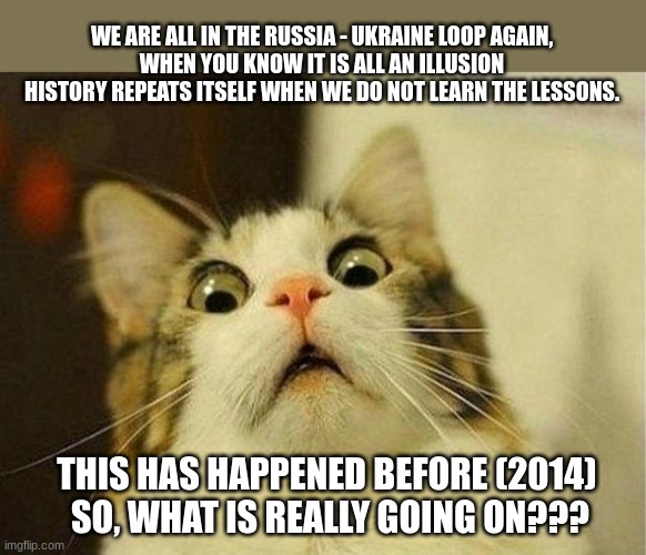 u ok man? | WE ARE ALL IN THE RUSSIA - UKRAINE LOOP AGAIN,
WHEN YOU KNOW IT IS ALL AN ILLUSION
HISTORY REPEATS ITSELF WHEN WE DO NOT LEARN THE LESSONS. THIS HAS HAPPENED BEFORE (2014) 
SO, WHAT IS REALLY GOING ON??? | image tagged in memes,scared cat,funny,true | made w/ Imgflip meme maker