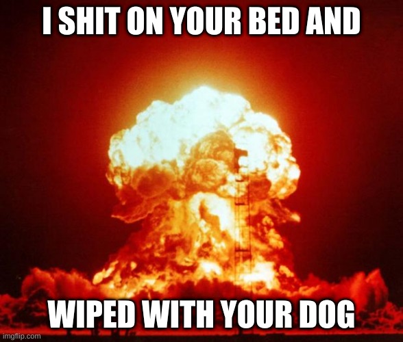 im not sorry | I SHIT ON YOUR BED AND; WIPED WITH YOUR DOG | image tagged in nuke | made w/ Imgflip meme maker