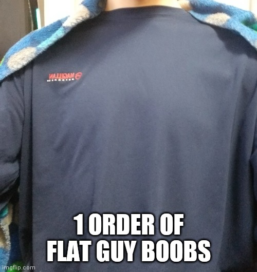 It's in a comment so imma post it anyways lol | 1 ORDER OF FLAT GUY BOOBS | made w/ Imgflip meme maker