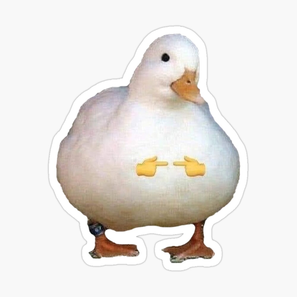 High Quality shy duck Blank Meme Template