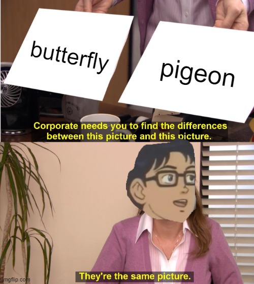 yes | butterfly; pigeon | image tagged in memes,they're the same picture | made w/ Imgflip meme maker