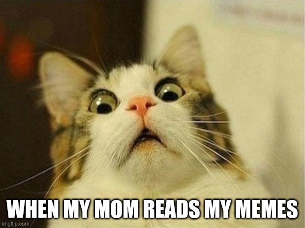 Scared Cat Meme | WHEN MY MOM READS MY MEMES | image tagged in memes,scared cat | made w/ Imgflip meme maker