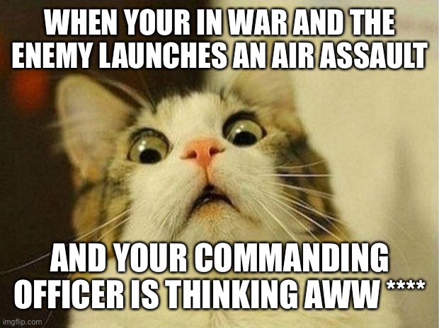Scared Cat Meme | WHEN YOUR IN WAR AND THE ENEMY LAUNCHES AN AIR ASSAULT; AND YOUR COMMANDING OFFICER IS THINKING AWW **** | image tagged in memes,scared cat | made w/ Imgflip meme maker