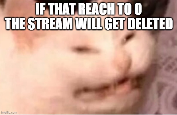 e w | IF THAT REACH TO 0 THE STREAM WILL GET DELETED | image tagged in e w | made w/ Imgflip meme maker