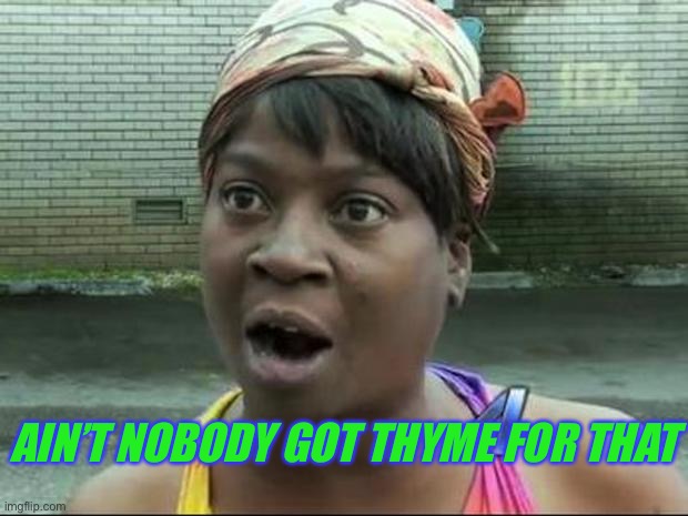 Ain't Nobody Got Time for That | AIN’T NOBODY GOT THYME FOR THAT | image tagged in ain't nobody got time for that | made w/ Imgflip meme maker