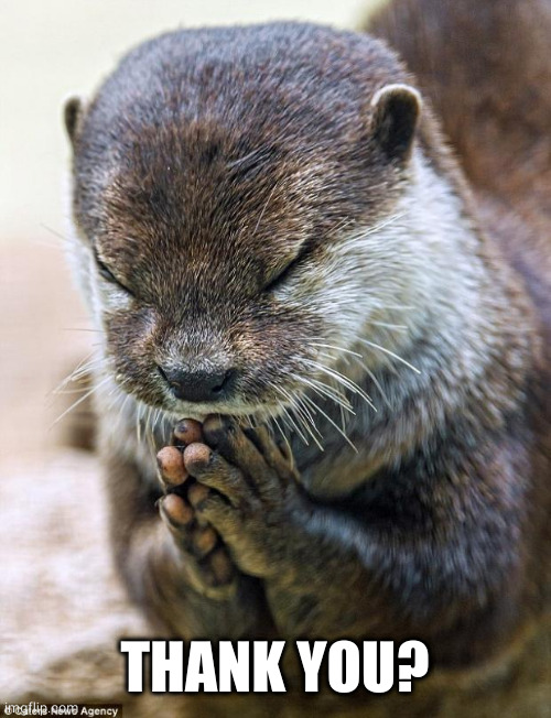 Thank you Lord Otter | THANK YOU? | image tagged in thank you lord otter | made w/ Imgflip meme maker