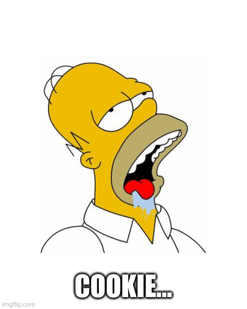 Homer Simpson Drooling | COOKIE... | image tagged in homer simpson drooling | made w/ Imgflip meme maker