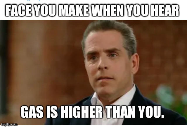 FACE YOU MAKE WHEN YOU HEAR; GAS IS HIGHER THAN YOU. | made w/ Imgflip meme maker