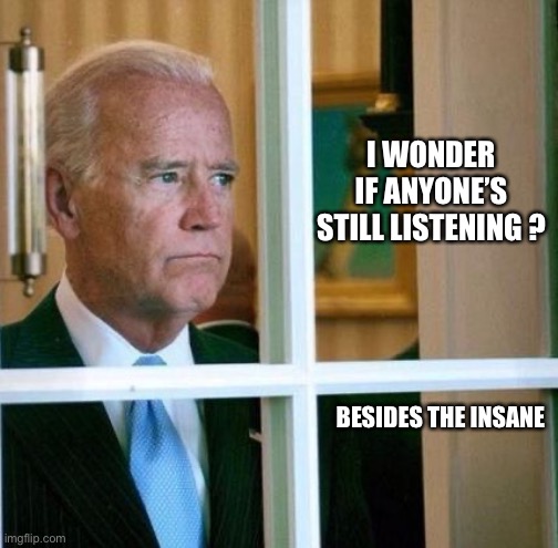 Sad Joe Biden | I WONDER IF ANYONE’S STILL LISTENING ? BESIDES THE INSANE | image tagged in sad joe biden | made w/ Imgflip meme maker