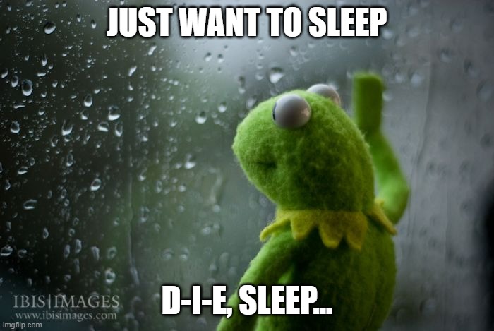 Zzzzz | JUST WANT TO SLEEP; D-I-E, SLEEP... | image tagged in kermit window,void,abyss,nothingness,oblivion,unconsciousness | made w/ Imgflip meme maker